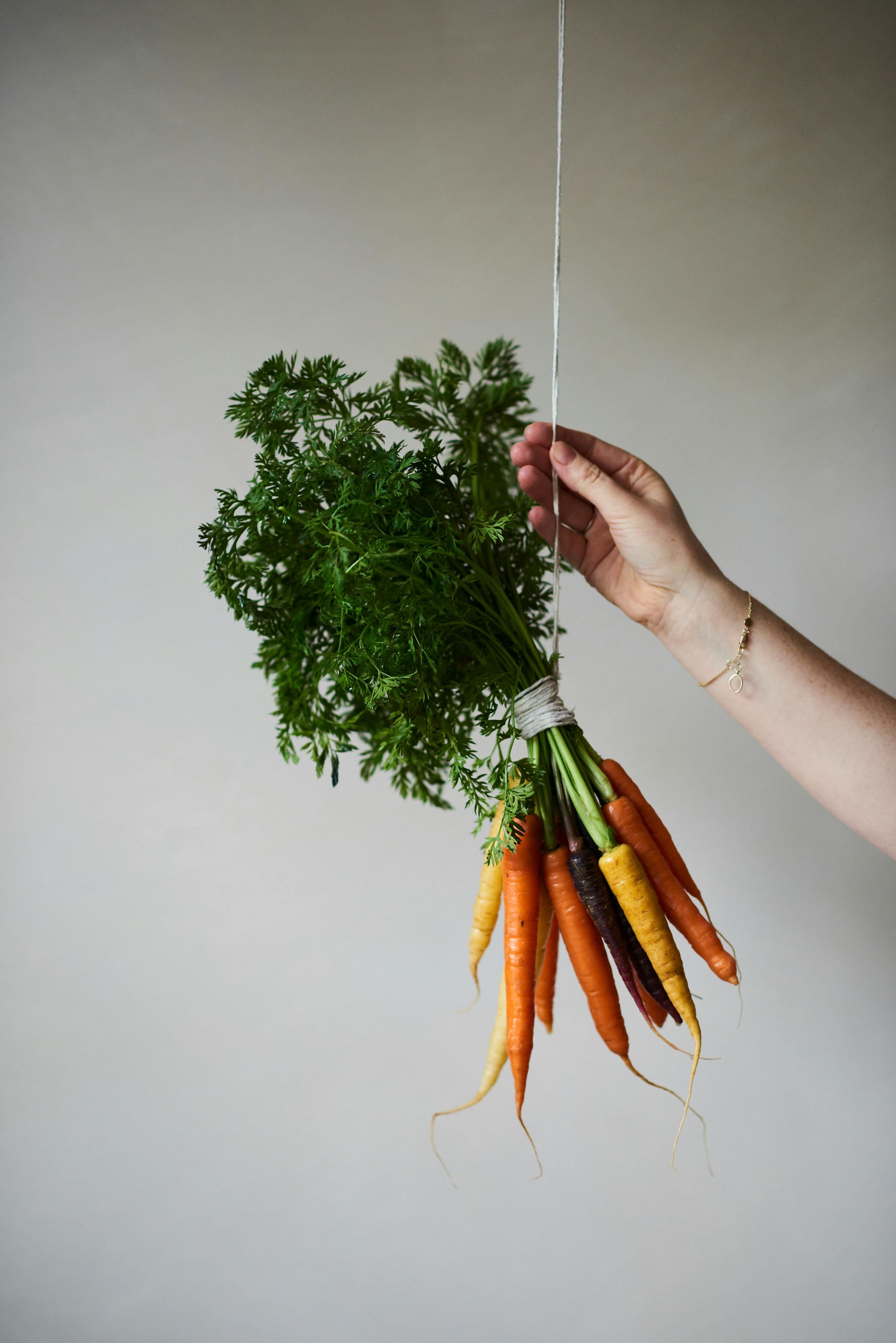 Vegetables Carrots 046