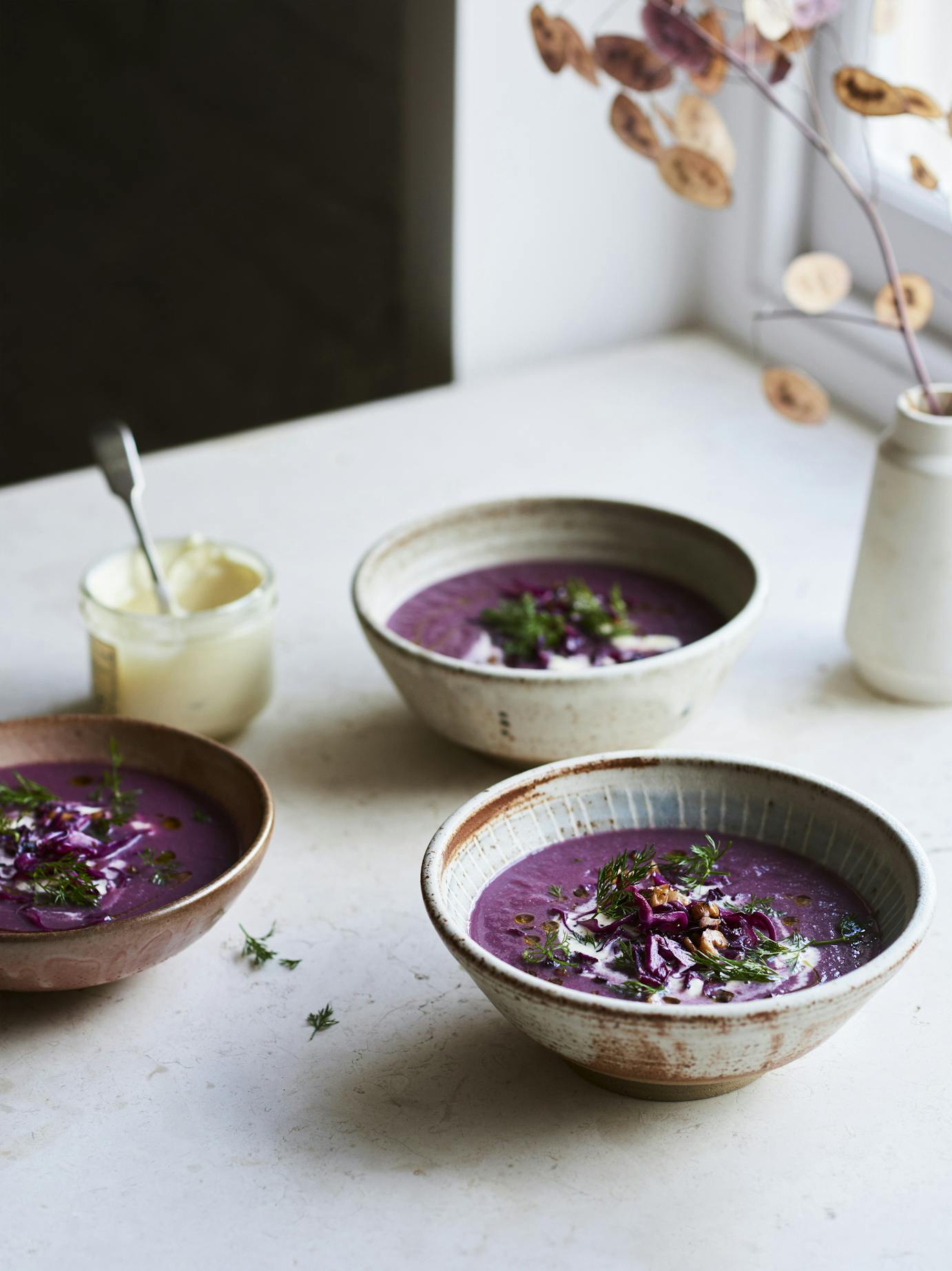 Red cabbage soup stew for web