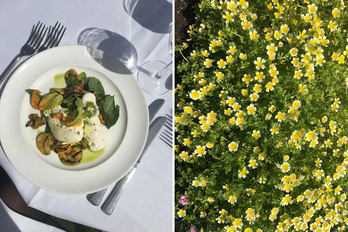 Strawberry and Anise Galette – Recipes – Anna Jones